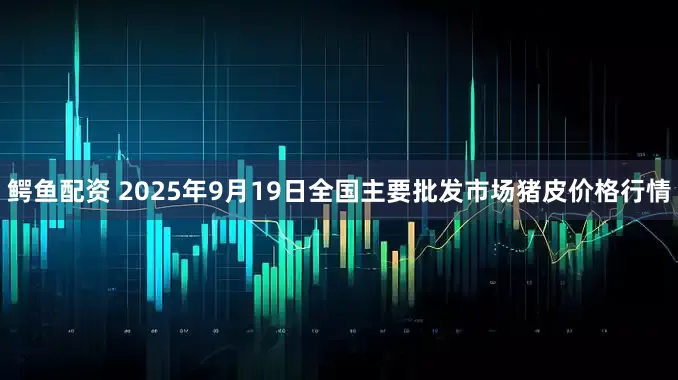 鳄鱼配资 2025年9月19日全国主要批发市场猪皮价格行情